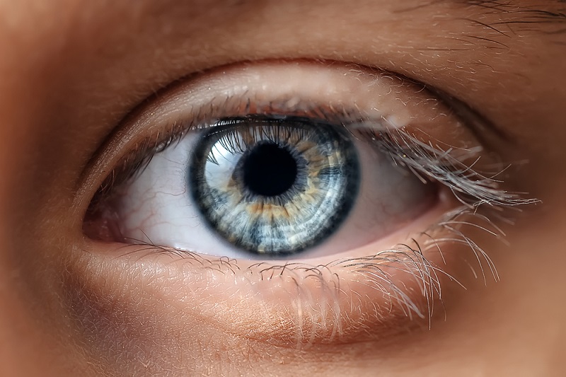 A látás hónapja 2023 – a szem egészségéért